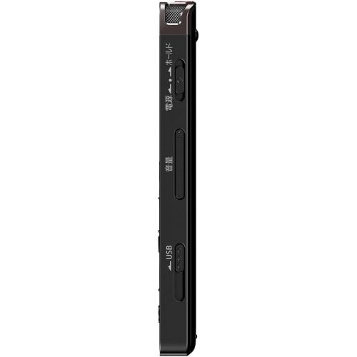 소니 Sony Stereo IC Recorder 4GB with FM Tuner Black ICD-UX560FB