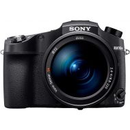 Sony CyberShot RX10 IV with 0.03 Second Auto-Focus & 25x Optical Zoom (DSC-RX10M4), SanDisk Extreme PRO 64GB
