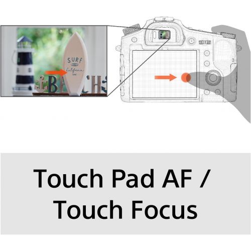 소니 Sony CyberShot RX10 IV with 0.03 Second Auto-Focus & 25x Optical Zoom (DSC-RX10M4)