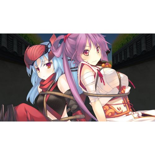 소니 Sony Dungeon Travelers 2 Ouritsu Toshokan to Mamono no Fuuin (Japan Import)