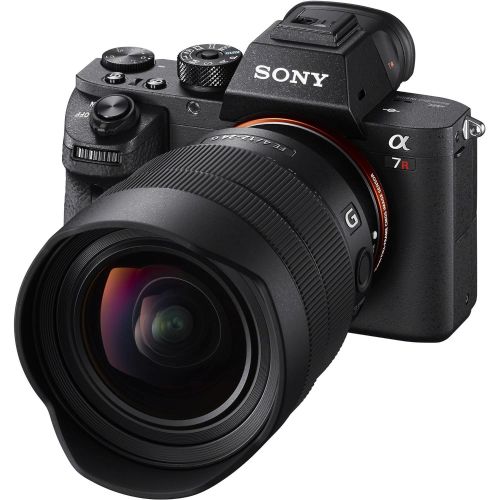 소니 Sony E 30mm f3.5 Macro Lens SEL30M35 + 49mm 3 Piece Filter Kit + Professional 160 LED Video Light Studio Series + 64GB SDXC Card + Lens Pen Cleaner + 70in Monopod + Deluxe Cleanin