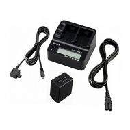 Sony ACCV1BP | H V P Series Batteries Power Supply Fast Dual Charger