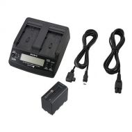 Sony ACCL1BP Power Supply& Fast Dual Charger for HDV and NXCAM Camcorders Using L Series Batteries