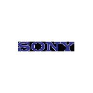 Sony - Sony Vgn-C240Fe/G Touchpad Button (