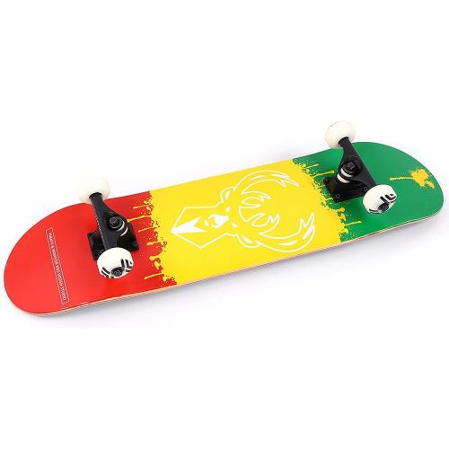  Sorand Longboards Skateboard,Four Luminous Wheels Double-warped Anti-Skid wear resistant Wearproof Standard Skateboards with Maple Deck for Beginners Kids Boys Girls Adults Youth