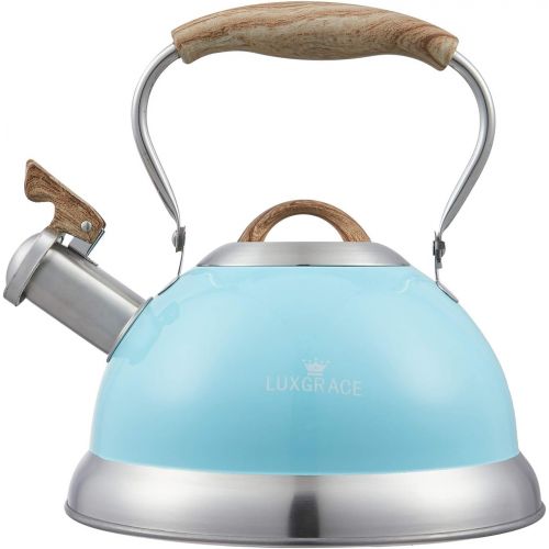  S-p Teapot Whistling Tea Kettle with Handle Loud Whistle,Food Grade Stainless Steel Tea Pot for Stovetops Water Kettle(Blue)