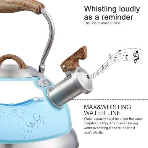  S-p Teapot Whistling Tea Kettle with Handle Loud Whistle,Food Grade Stainless Steel Tea Pot for Stovetops Water Kettle(Blue)