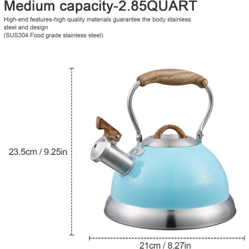  S-p Teapot Whistling Tea Kettle with Handle Loud Whistle,Food Grade Stainless Steel Tea Pot for Stovetops Water Kettle(Blue)