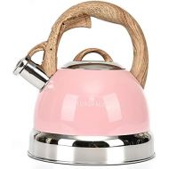 S-p Tea Kettle -2.5 Quart Stovetop Whistling Teapot Stainless Steel Tea Pots for Stove Top Whistle Tea Pot