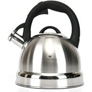 S-p Tea Kettle -2.5 Quart Stovetop Whistling Teapot Stainless Steel Tea Pots for Stove Top Whistle Tea Pot