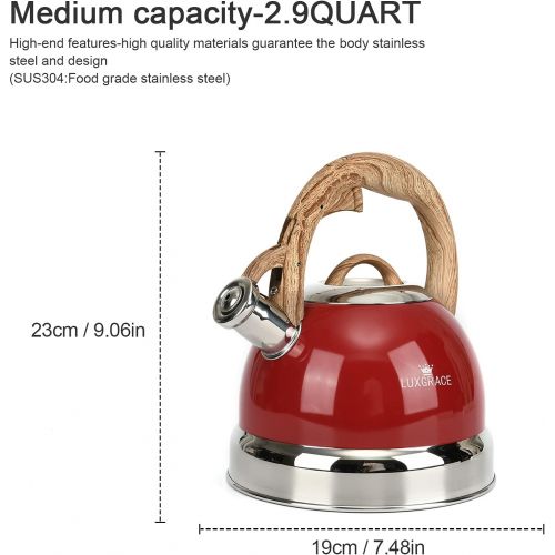  S-p Tea Kettle -2.5 Quart Stovetop Whistling Teapot Stainless Steel Tea Pots for Stove Top Whistle Tea Pot