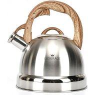 S-p Tea Kettle -2.5 Quart Stovetop Whistling Teapot Stainless Steel Tea Pots for Stove Top Whistle Tea Pot