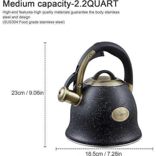  S-p Tea Kettle -2.2 Quart Tea Kettles Stovetop Whistling Teapot Stainless Steel Tea Pots for Stove Top Whistle Tea Pot