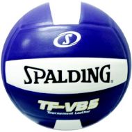 Spalding TF-VB5 PurpleWhite