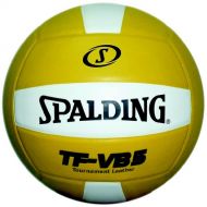 Spalding TF-VB5 Gold/White