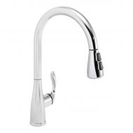 Speakman SB-2141 Chelsea Single Handle Kitchen Faucet with Pull Down Sprayer  High Arc Single Hole Faucet  Modern Kitchen Sink Fixture, Polished Chrome