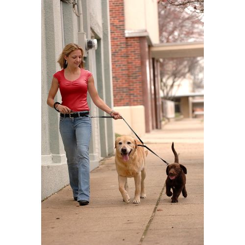  Double Dog Leash  No Tangle Swivel & Fully Adjustable Lead for Two Dogs, Double Dog Walker leash with Soft Padded Handle, Dual Dog Splitter Leash by Sporn