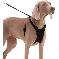 Sporn Dog Harness - No pull and No choke humane Design, Non Pulling Pet Harness with Mesh vest, Easy Step-in Adjustable Mesh Harness for control, Patented Dog Pull Control Technology by