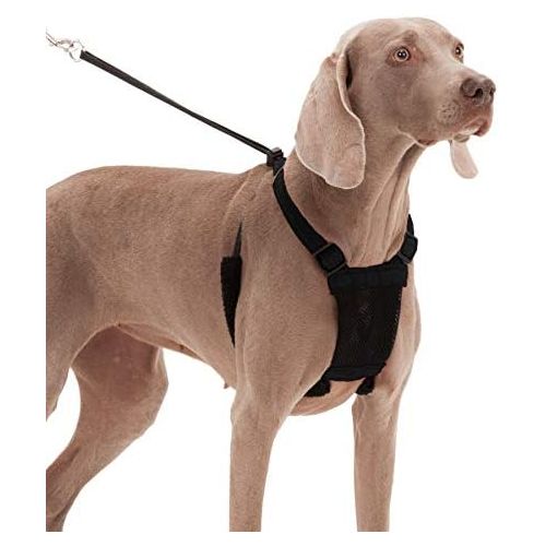  Sporn Dog Harness - No pull and No choke humane Design, Non Pulling Pet Harness with Mesh vest, Easy Step-in Adjustable Mesh Harness for control, Patented Dog Pull Control Technology by