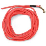 SportDOG Brand SportDOG Orange Check Cord