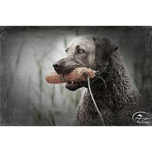  SportDOG Brand Plastic Dummies - Hunting Dog Training Tool - Adjustable Weight and Firmness - Floats