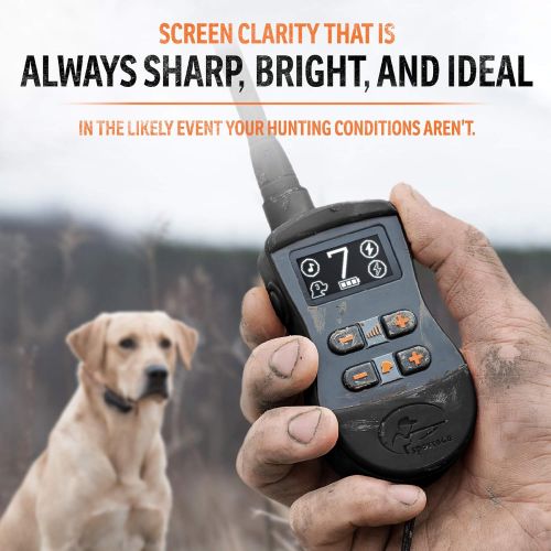  SportDOG Brand SportTrainer Remote Trainers - Bright, Easy to Read OLED Screen - Waterproof, Rechargeable Dog Training Collar with Tone, Vibration, and Shock