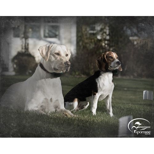  SportDOG Brand In-Ground Fence System