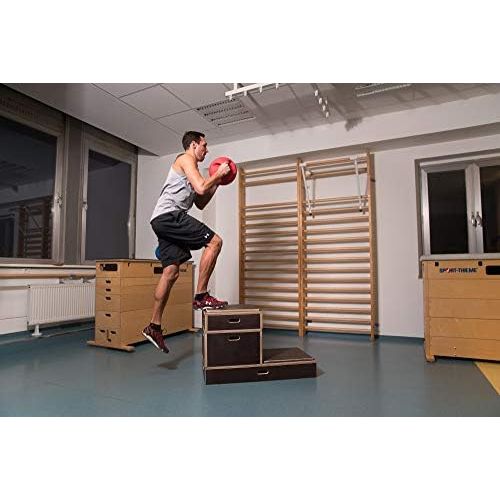  [아마존베스트]Sport-Thieme Plyo Box Wooden Combination Non-Slip Jump-Box/Jumping Box Made of Multiplex Wood | In Three Sizes | For Plyometric Training, Cross Training, Bounce | Dark Brown | Bran