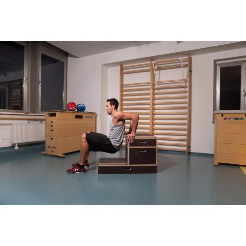  [아마존베스트]Sport-Thieme Plyo Box Wooden Combination Non-Slip Jump-Box/Jumping Box Made of Multiplex Wood | In Three Sizes | For Plyometric Training, Cross Training, Bounce | Dark Brown | Bran