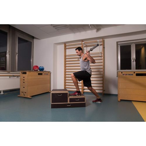  [아마존베스트]Sport-Thieme Plyo Box Wooden Combination Non-Slip Jump-Box/Jumping Box Made of Multiplex Wood | In Three Sizes | For Plyometric Training, Cross Training, Bounce | Dark Brown | Bran