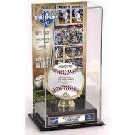 Sports Memorabilia Kansas City Royals 2015 MLB World Series Champions Gold Glove Display Case with Image - Baseball Free Standing Display Cases ''Case Only''