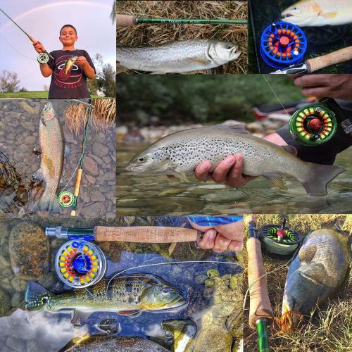  [아마존베스트]MAXIMUMCATCH Premier Fly Rod and Avid Reel Combo Complete 9 Fly Fishing Outfit with Fishing Tackle