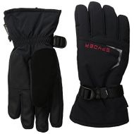 Spyder Mens Traverse Gore-Tex Gloves