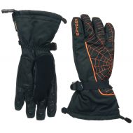 Spyder Mens Overweb Gore-Tex Glove