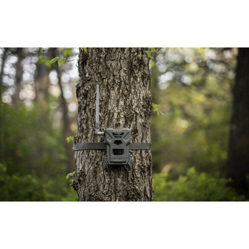  Spypoint Flex M Cellular Trail Camera