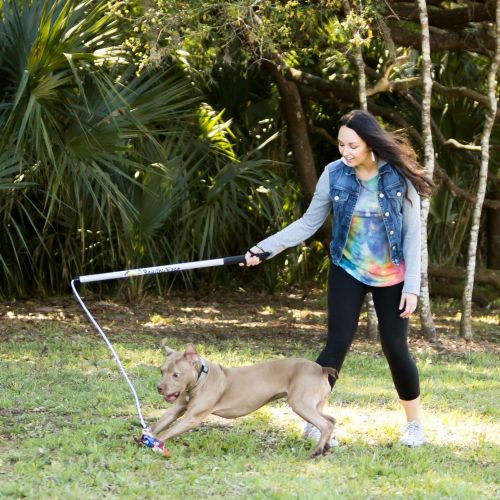  Squishy Face Studio Flirt Pole V2 Dog Exercise Toy Bundle with 2 Lures and 1 Tug, 36-inch, Rainbow, Purple/Blue Tie Dye
