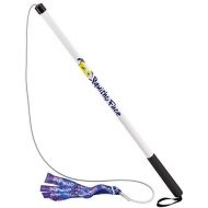 Squishy Face Studio Flirt Pole V2 with Lure - Durable Dog Toy for Fun Obedience Training & Exercise