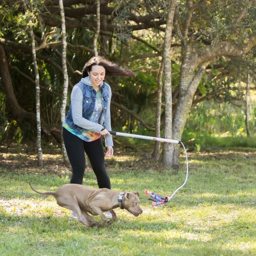  Squishy Face Studio Flirt Pole V2 with Lure - Durable Dog Toy for Fun Obedience Training & Exercise
