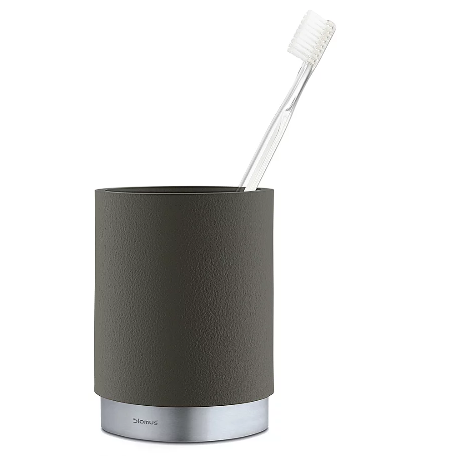  Stainless Toothbrush Holder