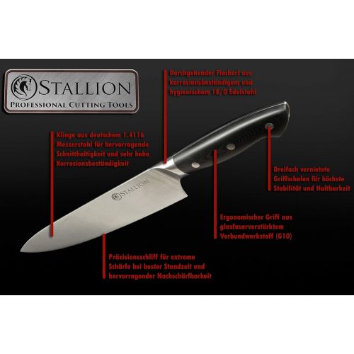  Stallion Professional Knife G10Two Steak Knife 12.5cm German 1.4116Knife Steel Blades And Handles Made of GFK