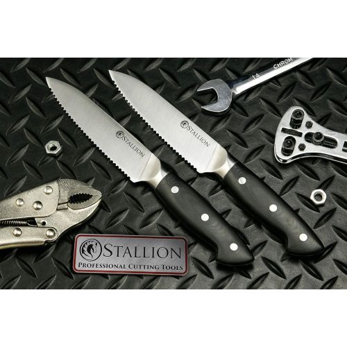  Stallion Professional Knife G10Two Steak Knife 12.5cm German 1.4116Knife Steel Blades And Handles Made of GFK