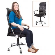 Stand Steady Mesh Ergonomic Office Chair | Supportive Desk Chair with Mesh High Back + Padded Headrest | Ergonomic Chair with Tilt and Height Adjustment | Sleek Modern Chair for Home/Office