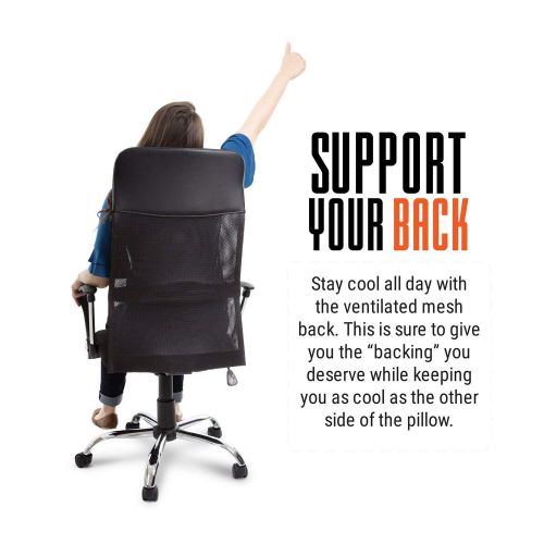  Stand Steady Mesh Ergonomic Office Chair | Supportive Desk Chair with Mesh High Back + Padded Headrest | Ergonomic Chair with Tilt and Height Adjustment | Sleek Modern Chair for Home/Office