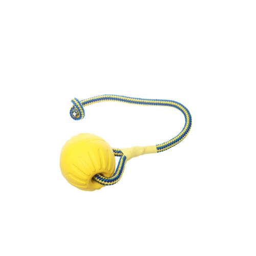  StarMark Fantastic Foam Ball on a Rope Dog Toy