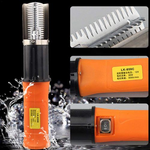  Starter Electric Fish Scaler - Rechargeable 12V Lithium Battery Stainless Steel Scraper Electric Scaler (with Batteries)