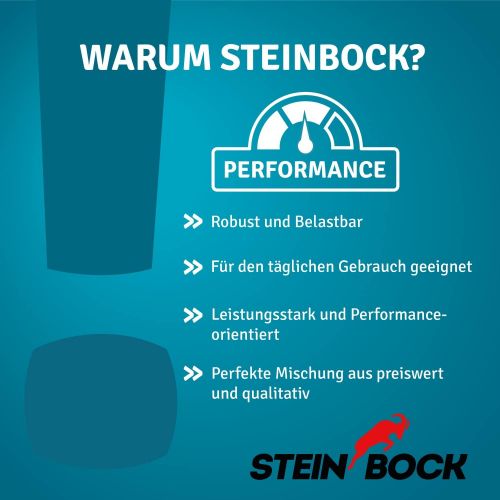  [아마존베스트]Steinbock Turbo Premium, manual, sweeping width 970 mm, for commercial use.