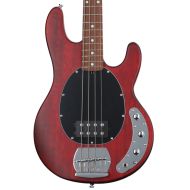 Sterling By Music Man StingRay RAY4 Bass Guitar - Walnut Satin