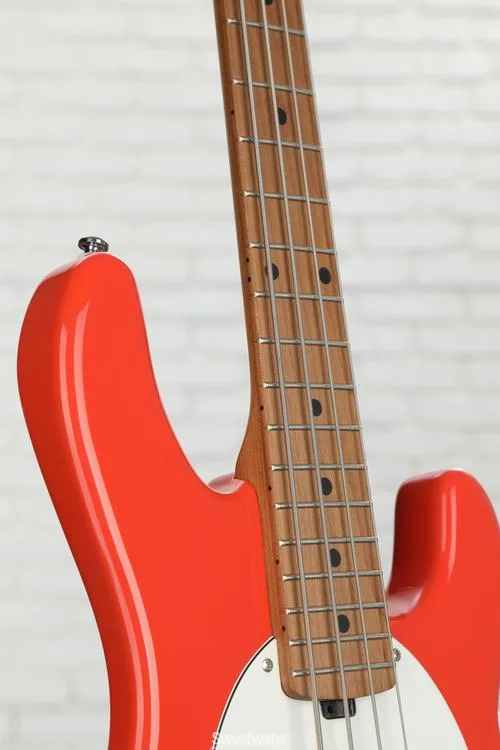  Sterling By Music Man StingRay RAYSS4 Short-scale Bass Guitar - Fiesta Red