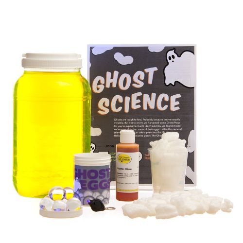  Steve Spangler Science Steve Spanglers Ghost Science Kit, Science Experiment Kit for Kids and Classroom