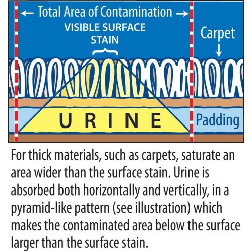  Stink Free Instantly Cat Urine Odor Remover & Eliminator Cleaning Solution, Oxidizer Based Pee Cleaner Solution & Deodorizer for Carpets, Outdoor Rugs, Rugs, Mattress, etc. 2-128 o